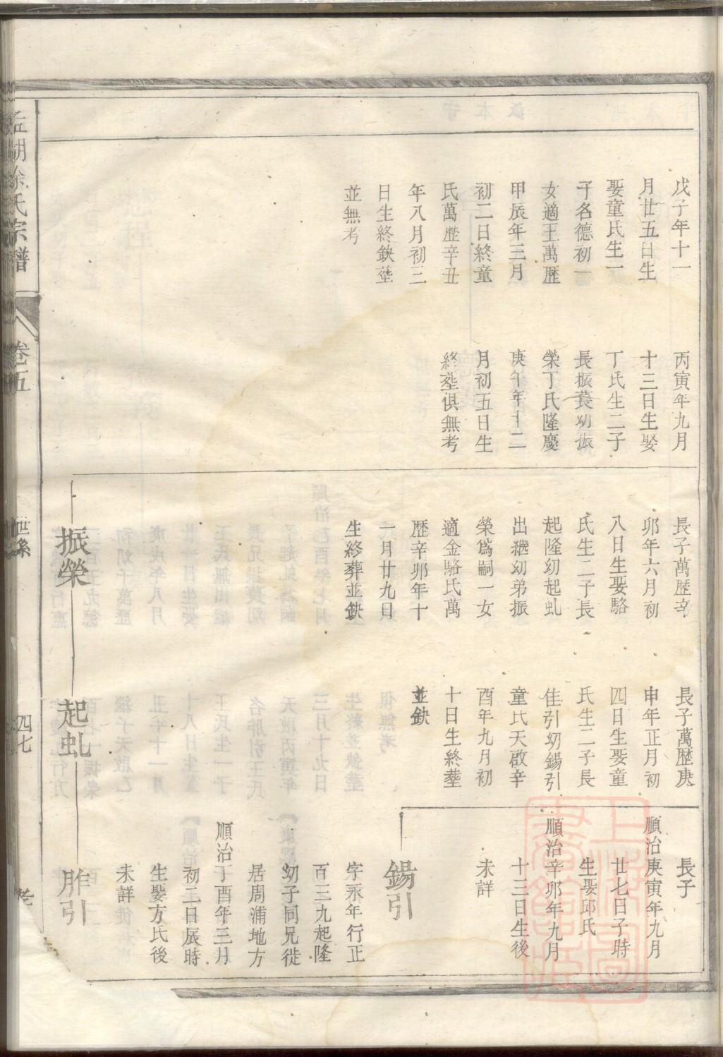 族谱图设计