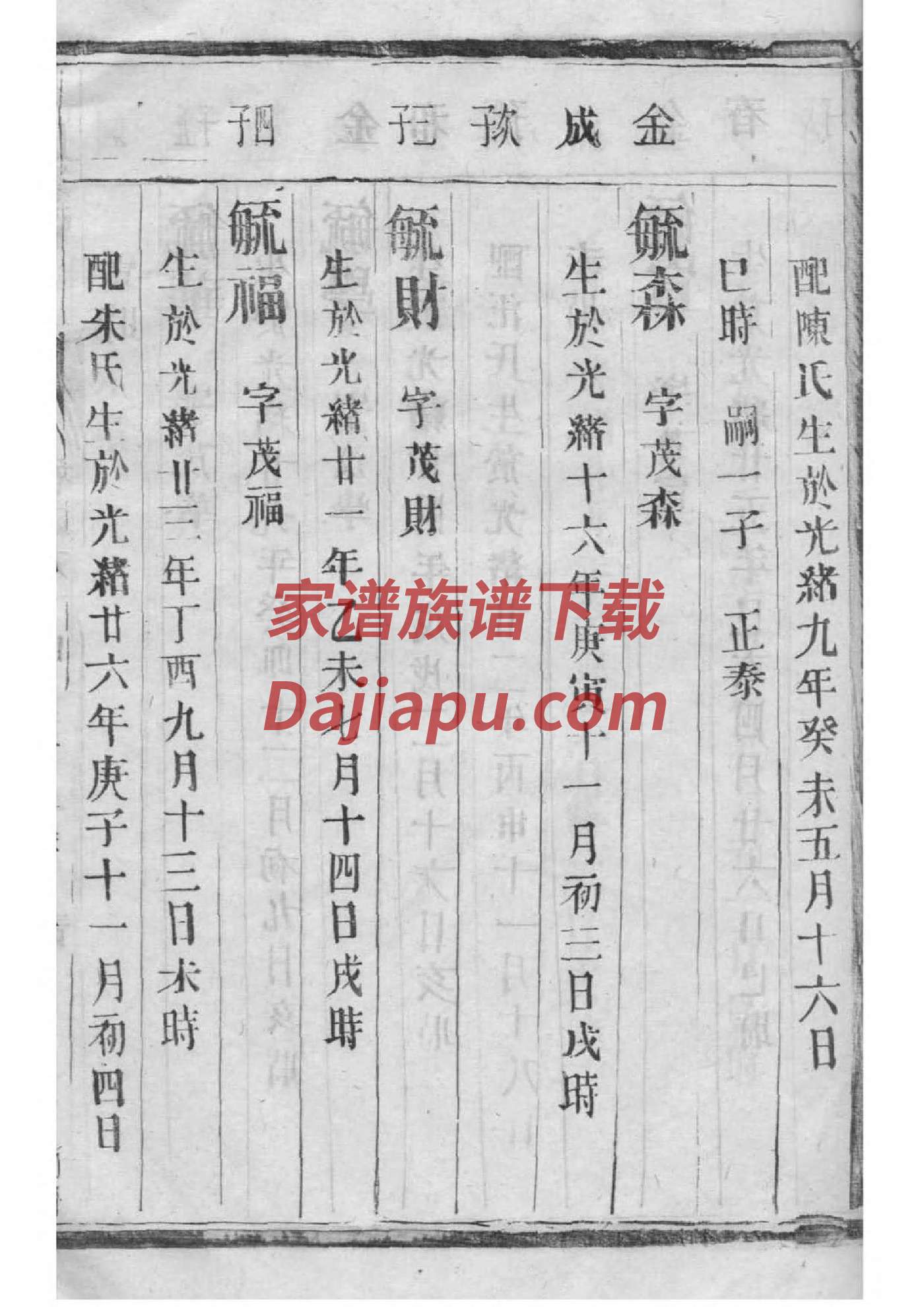 族谱印制