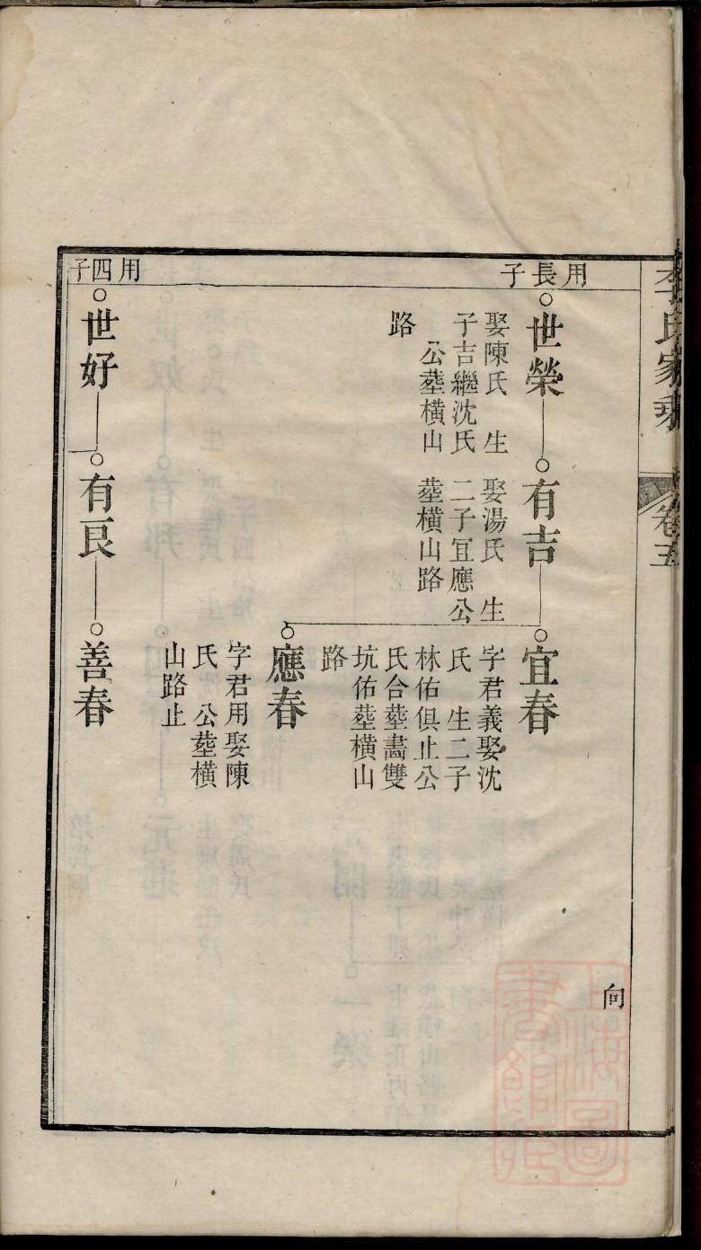 戴家谱永丕生建