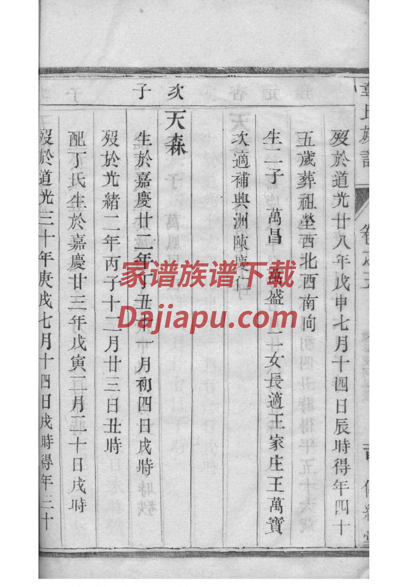 入族谱有什么用