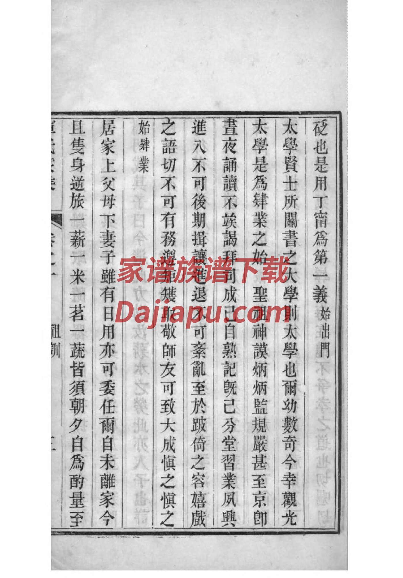 简单家谱