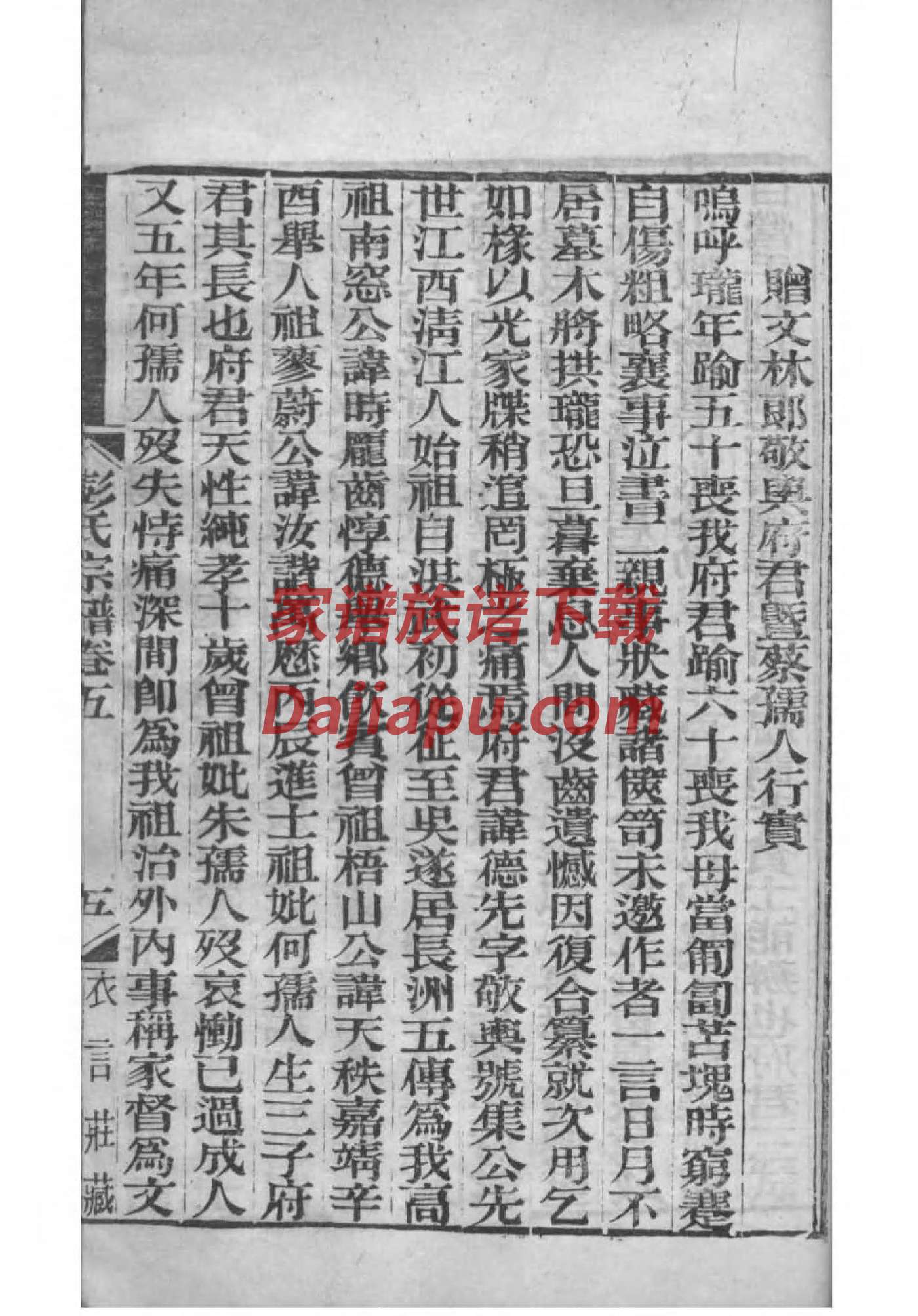 屠姓族谱字辈排行