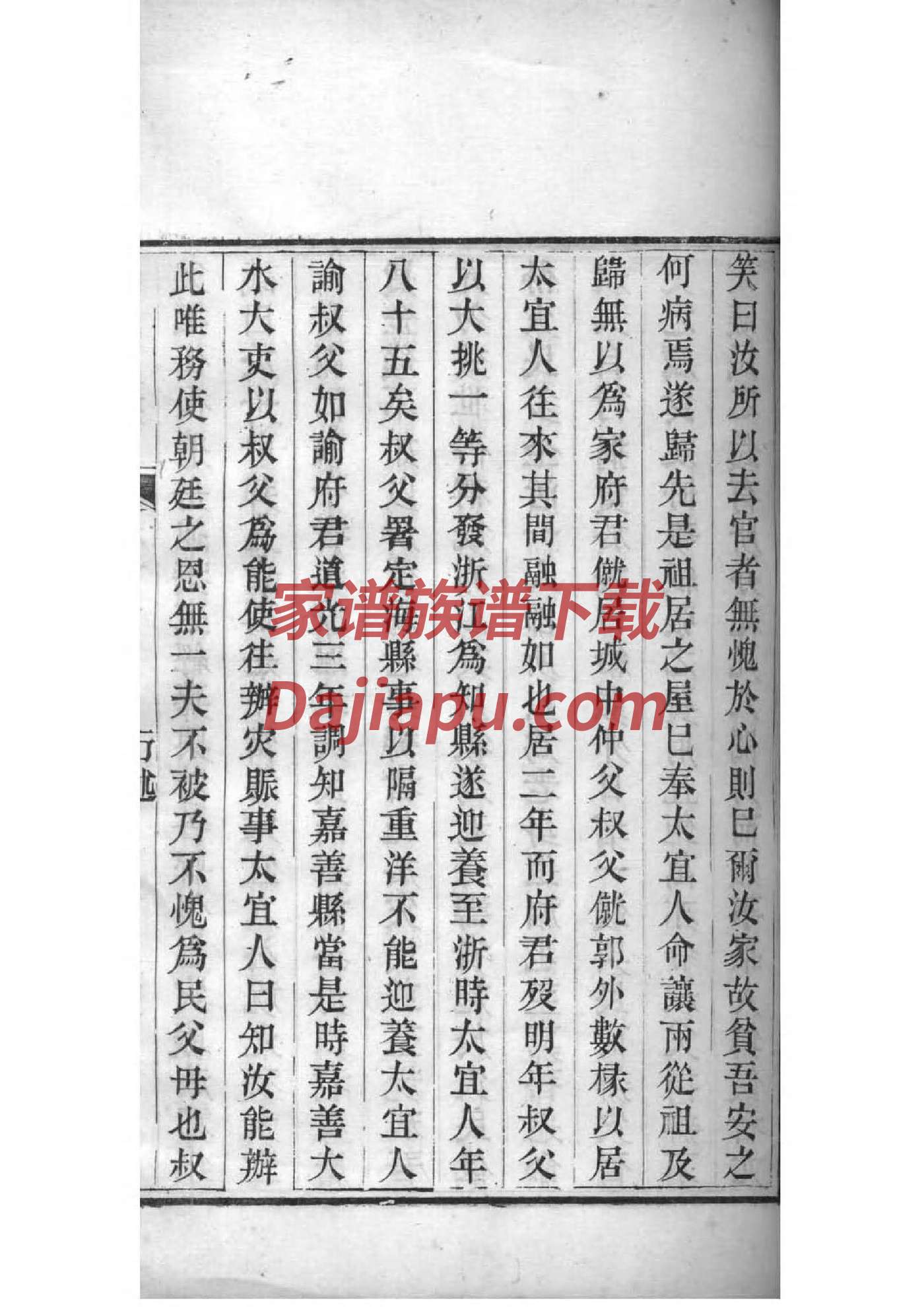 杨氏家谱杨春波