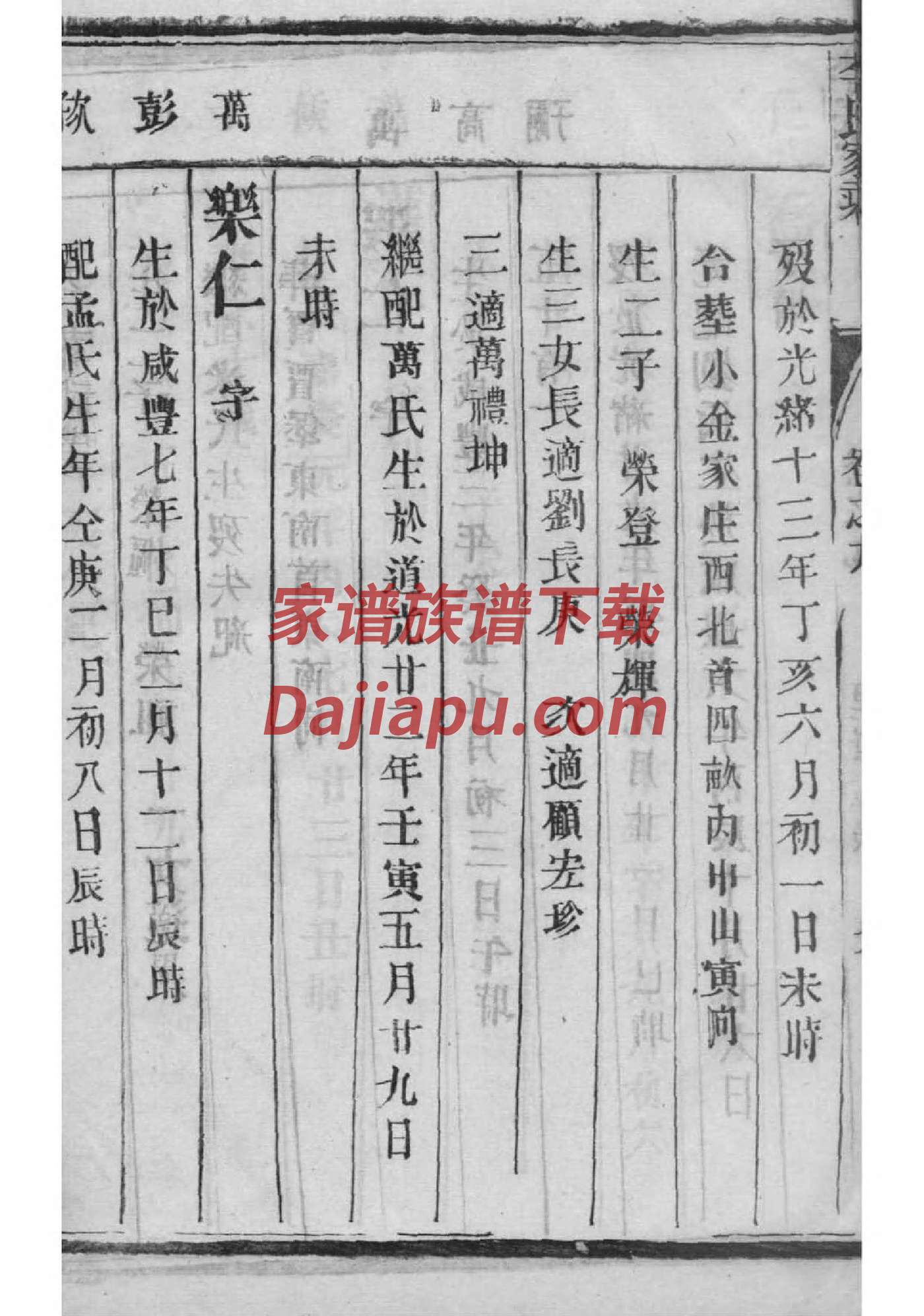 讯家谱网络电话