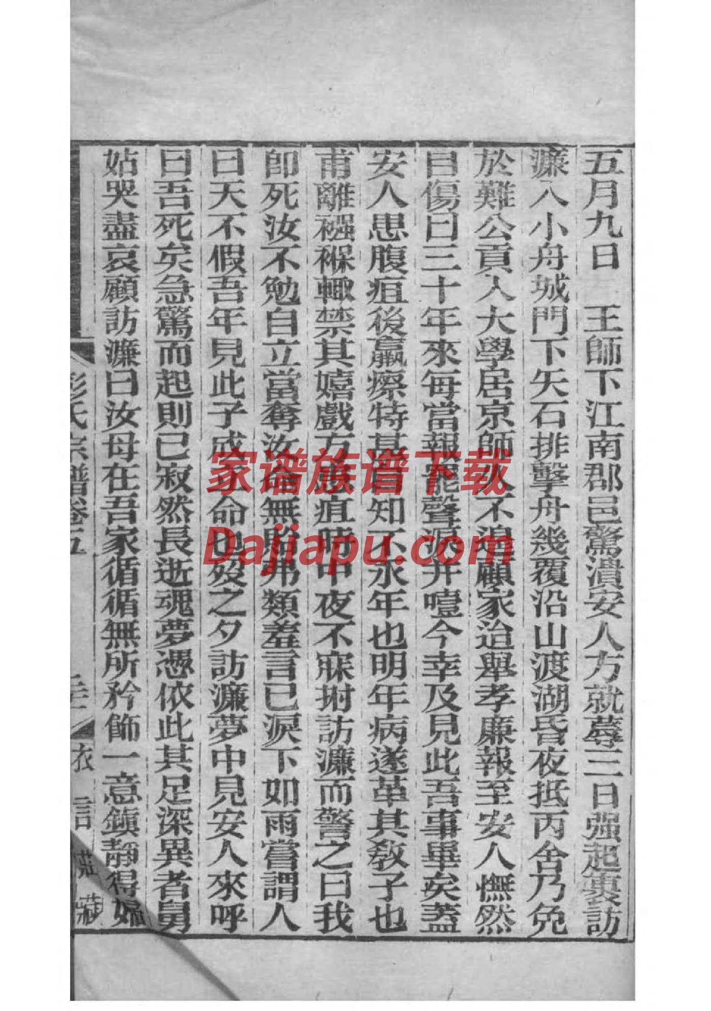 暴氏家谱