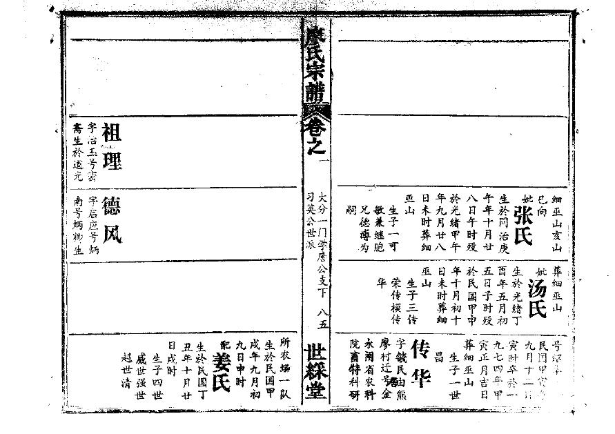 诸姓族谱字辈排行