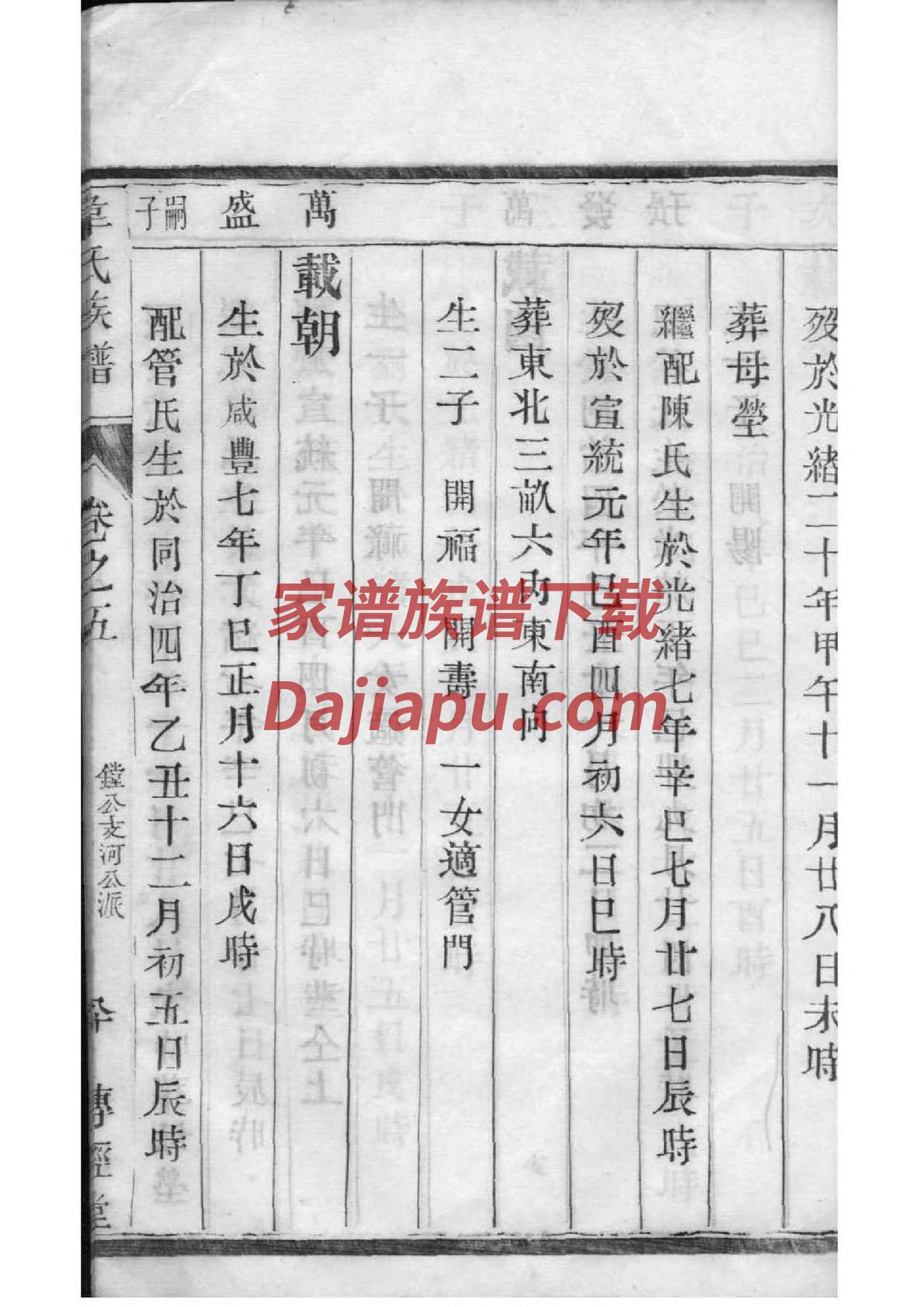 族谱怎么写