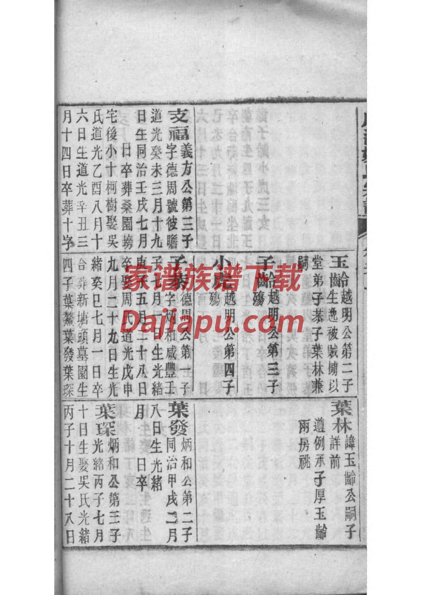 福姓族谱字辈查询全部