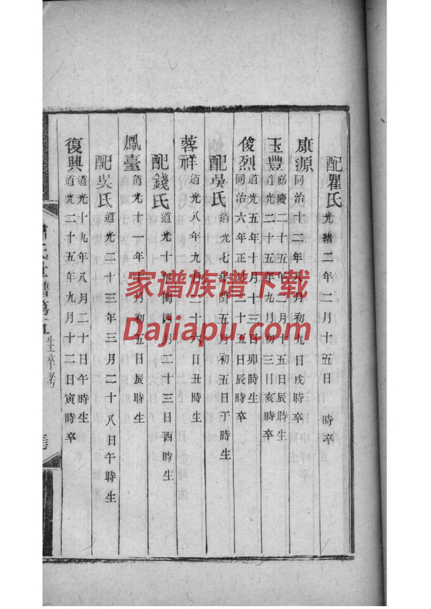 隋氏的起源