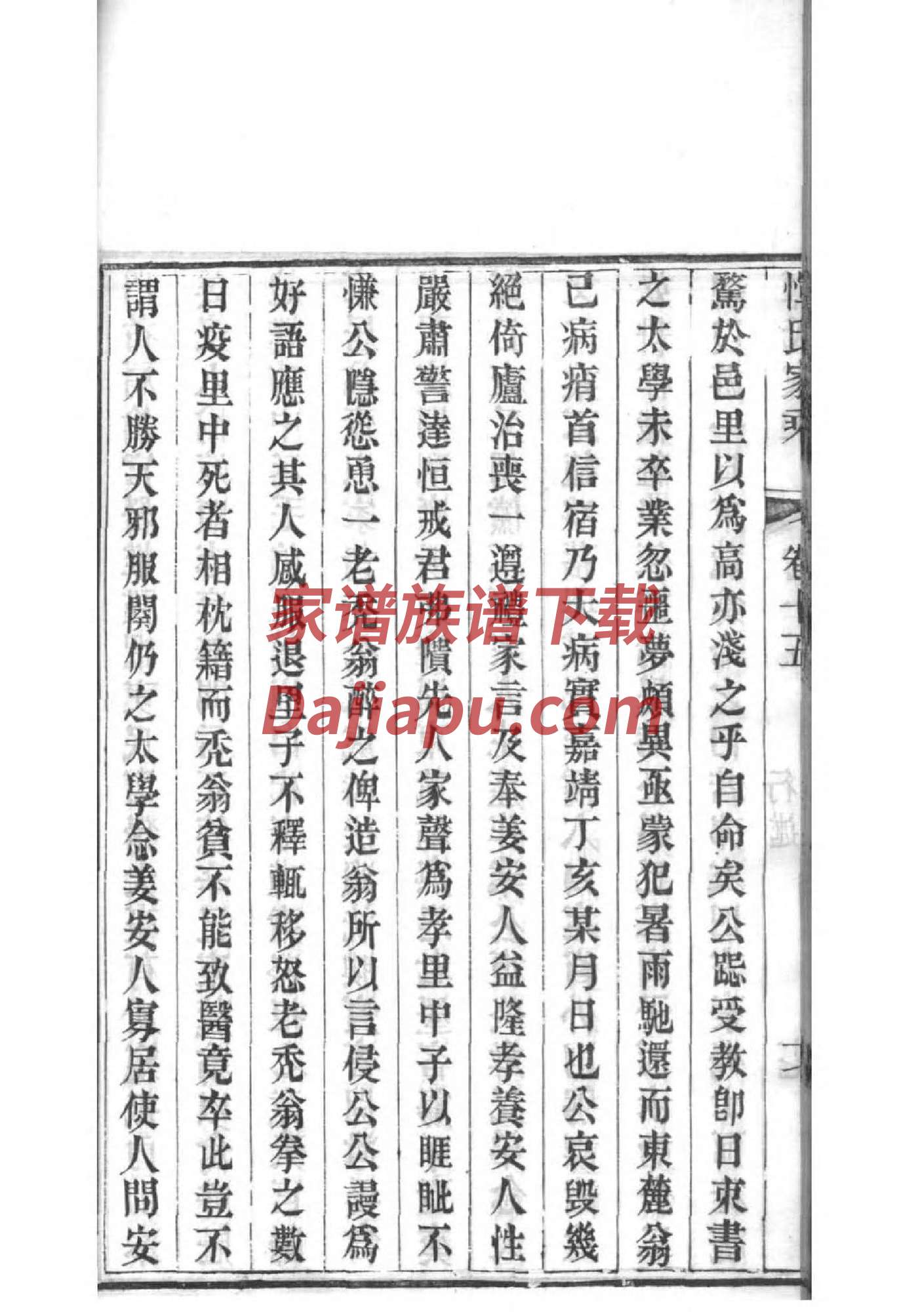 桑氏字辈介绍