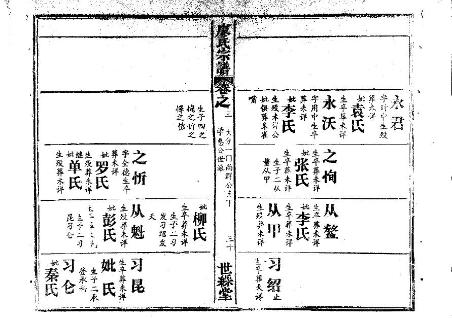 树姓辈分排行世系表