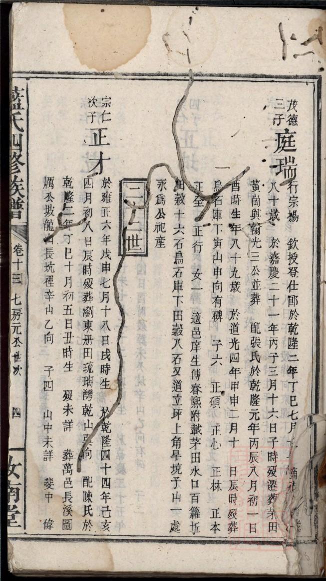 宙斯家族谱系图