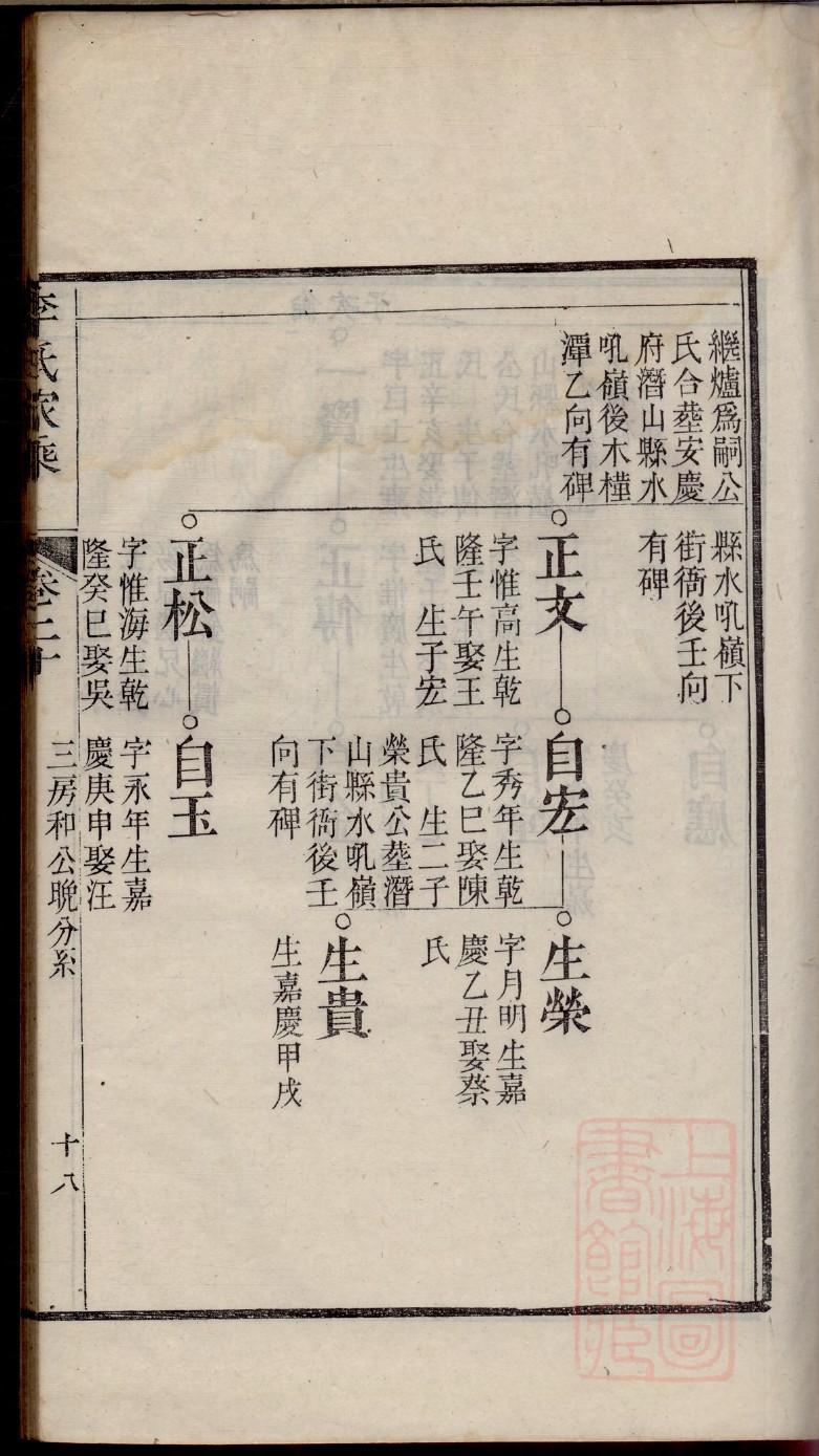 真正杨家家谱