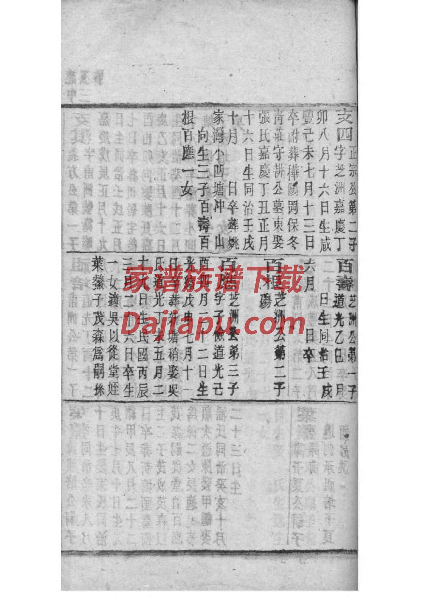 绍姓家谱全部辈分大全