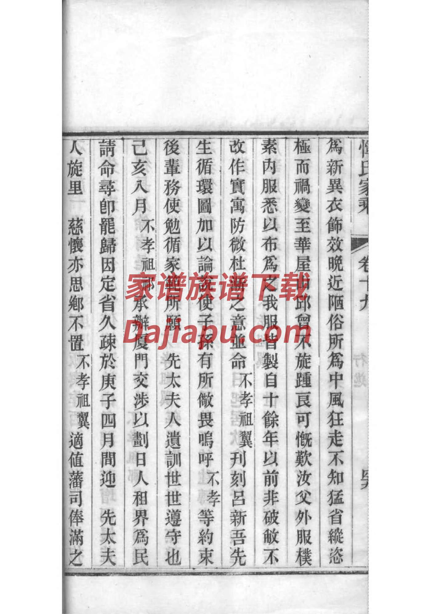 幼儿园家谱设计图片