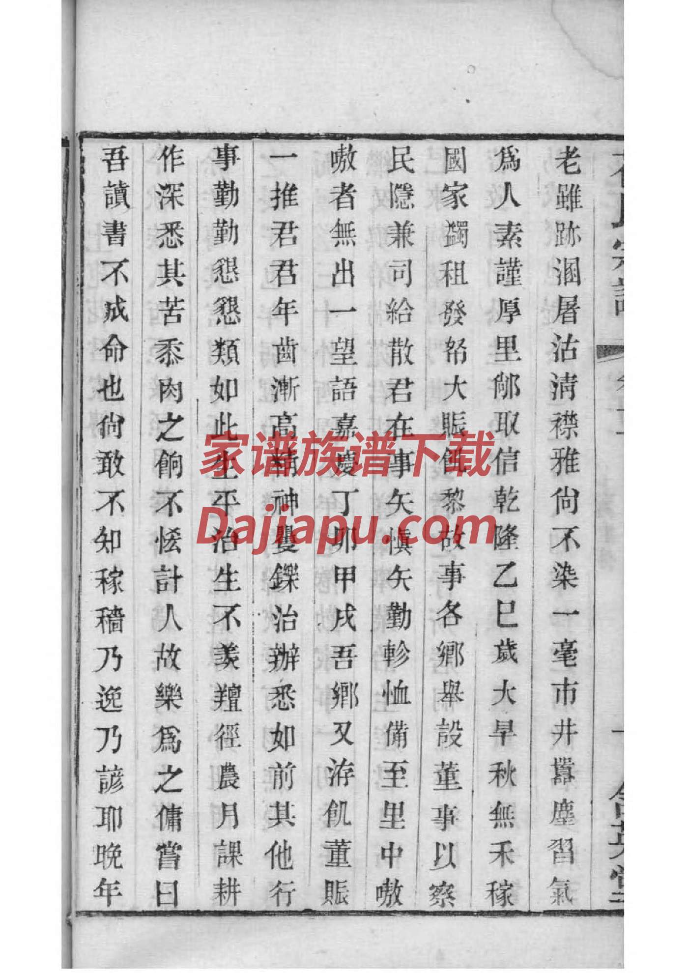 手绘家谱树模板