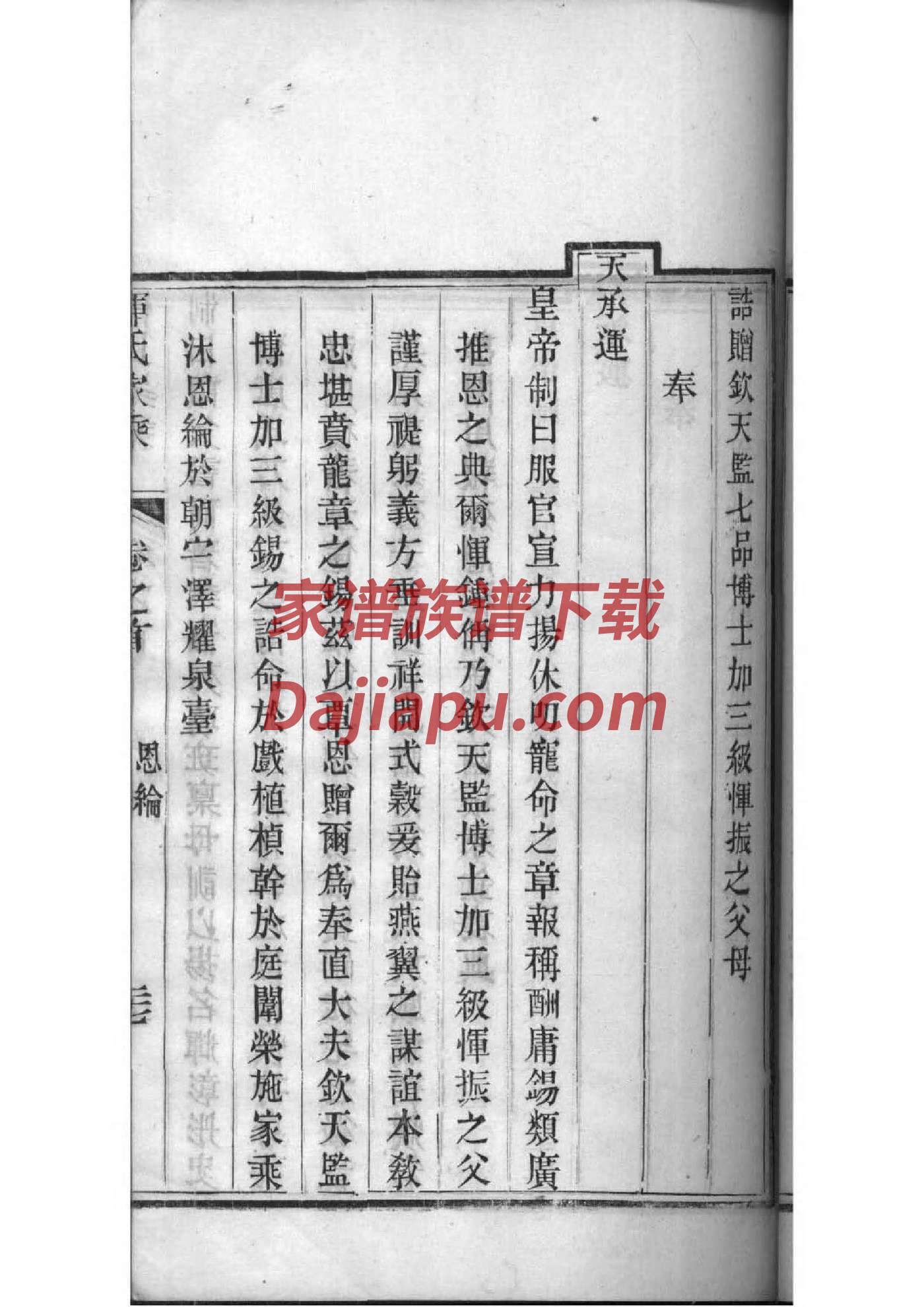 庄坞杨氏家谱编委会