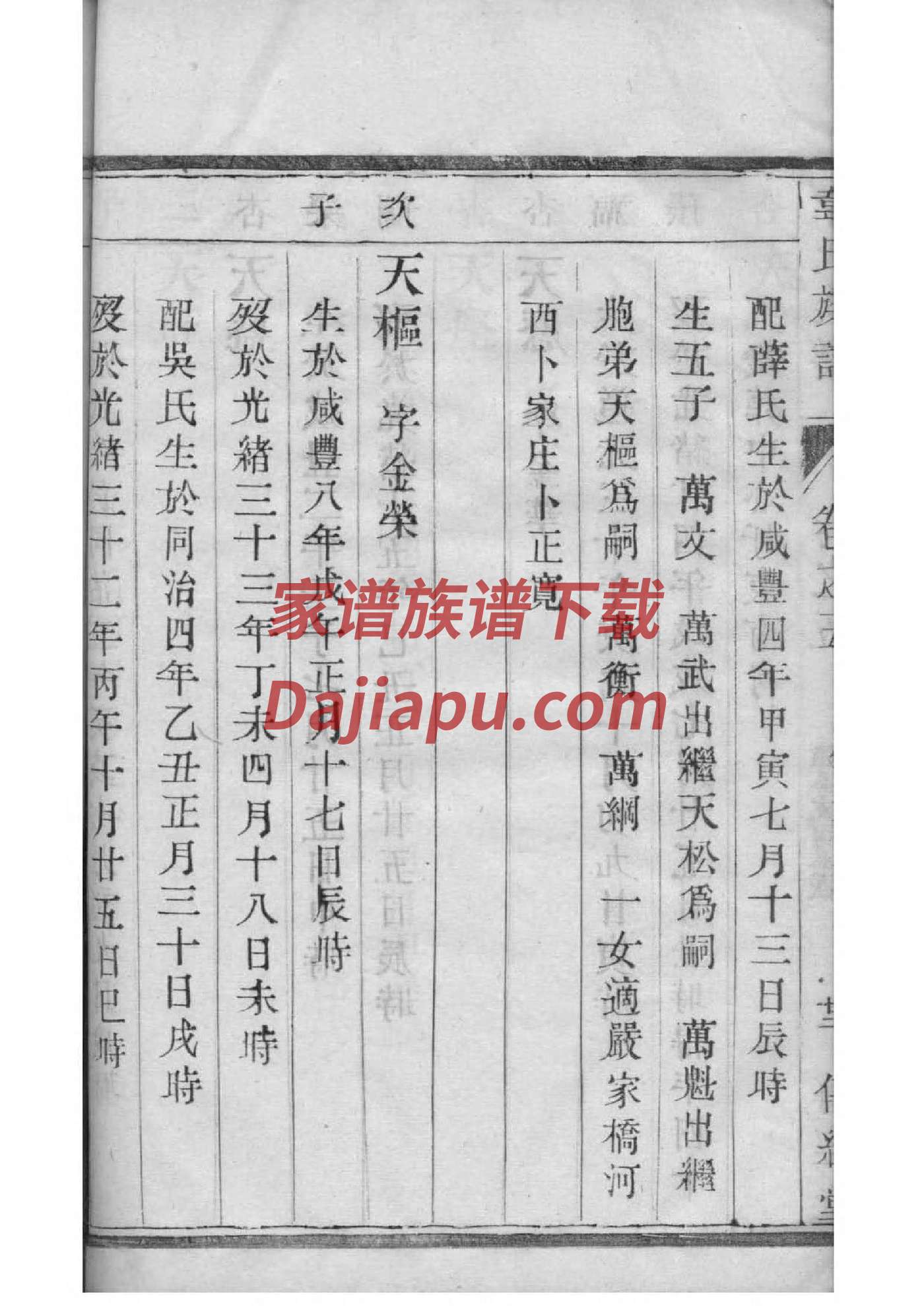 山东汶上王氏家谱