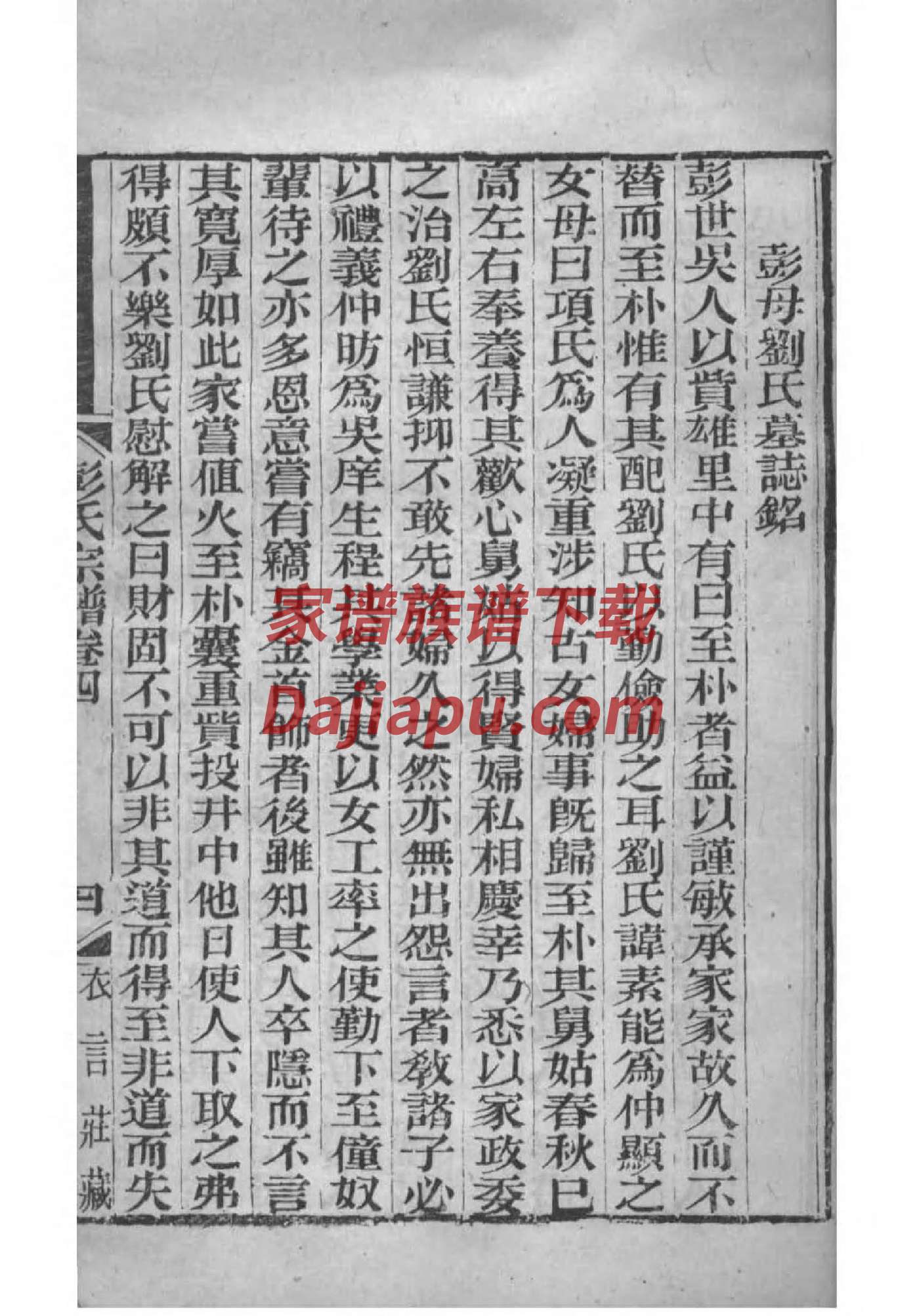 兰陵县庄坞杨家家谱
