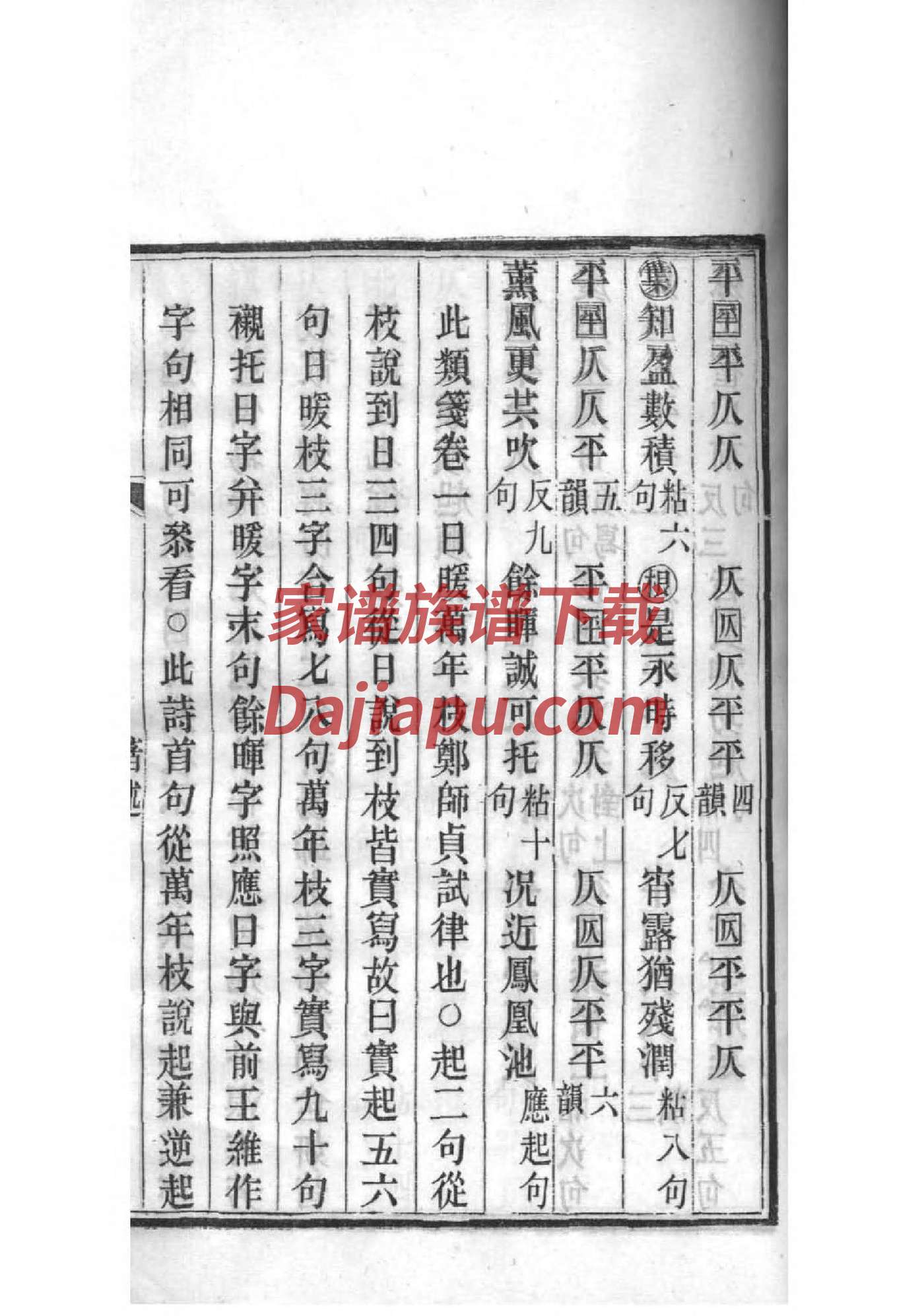 印姓族谱字辈大全