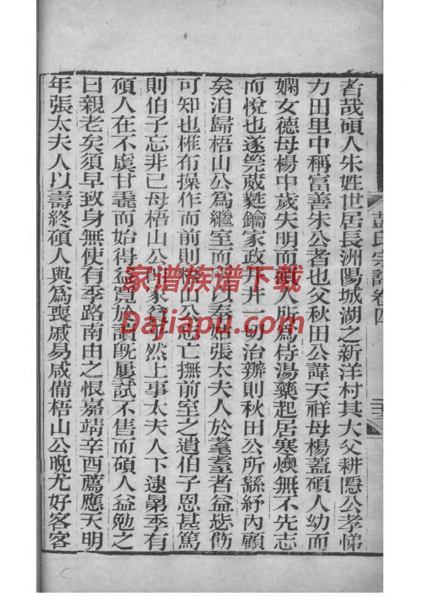 家谱查询网