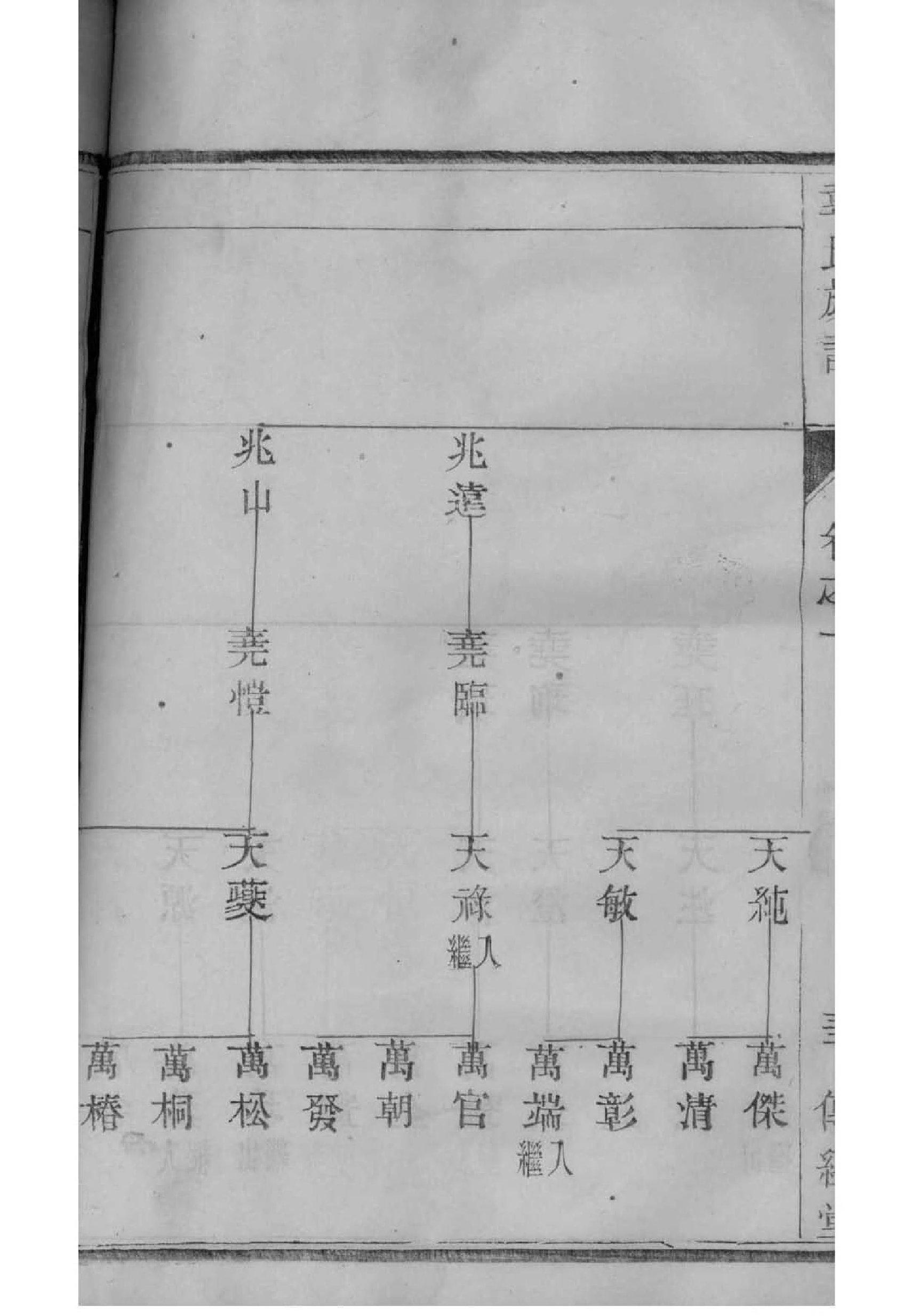 菜氏的起源