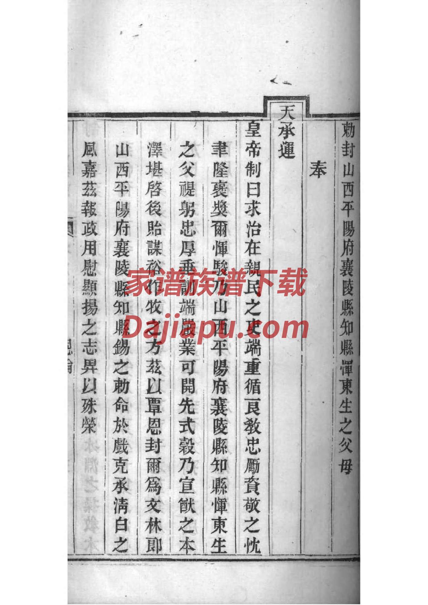 哪里可以查看族谱