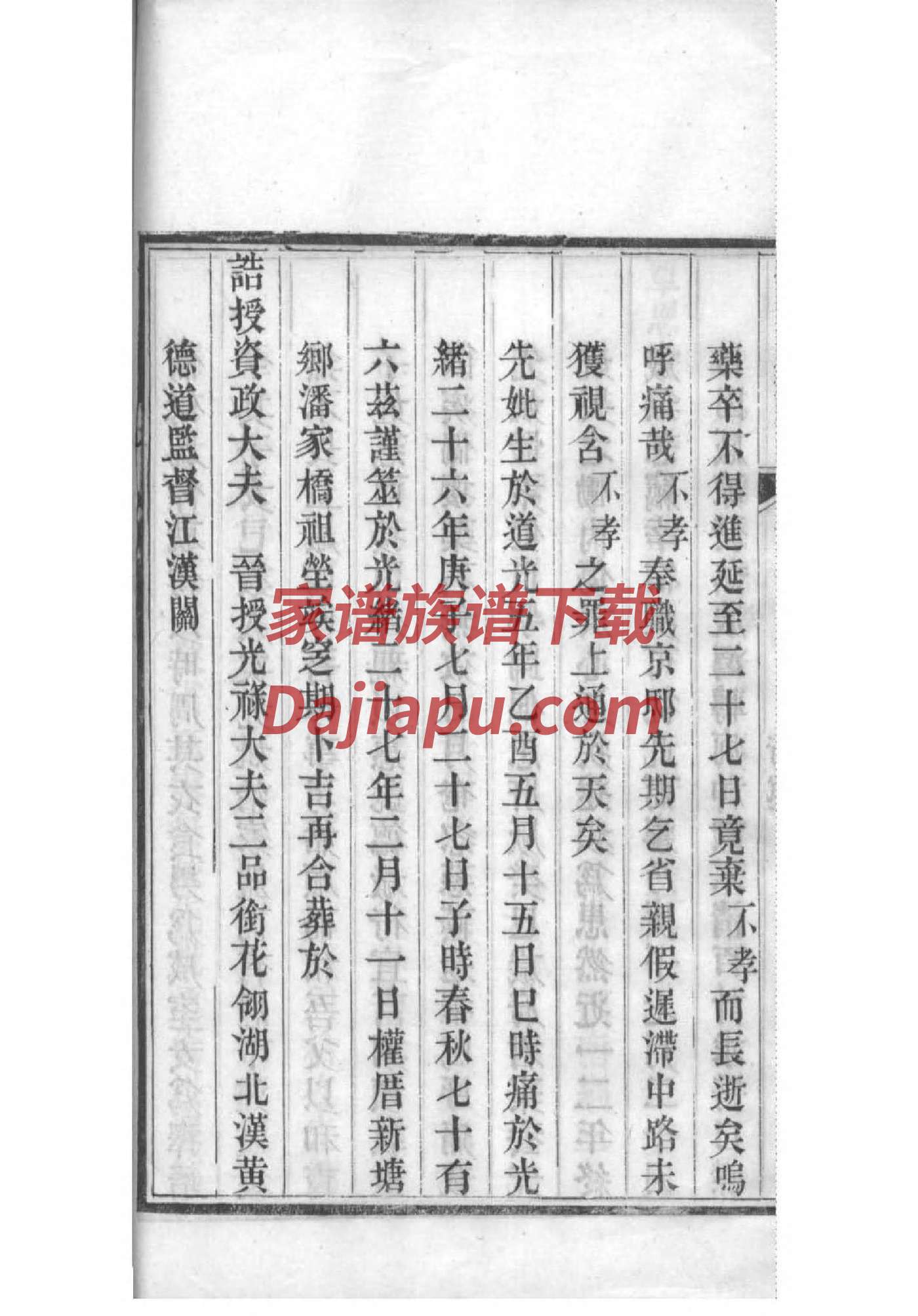 曾氏族谱在哪里看