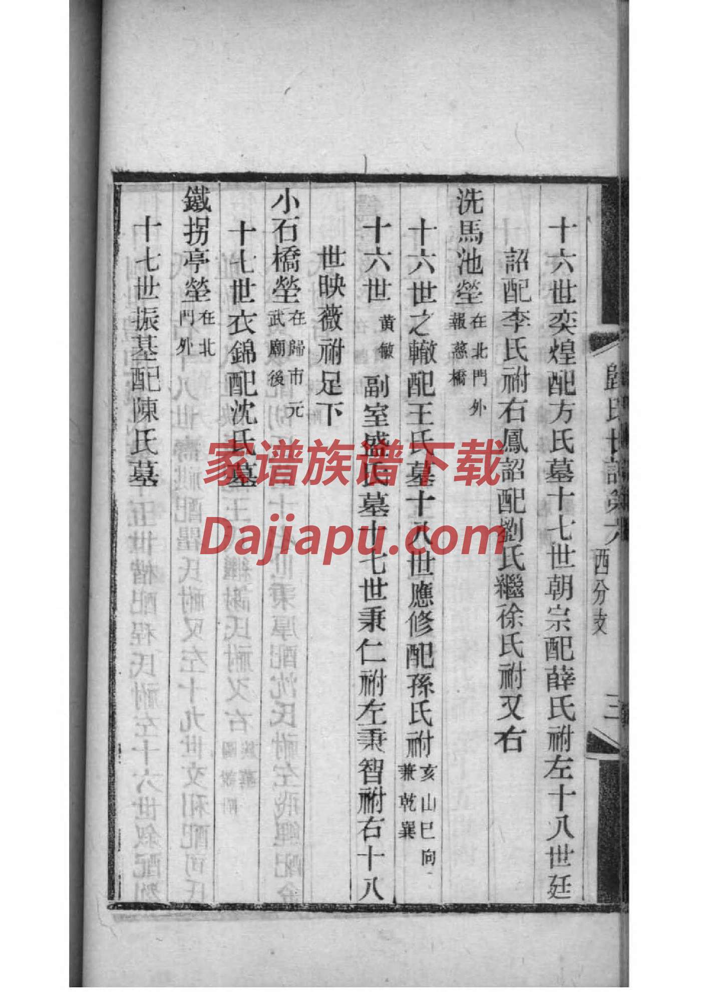 做卡通家谱的软件
