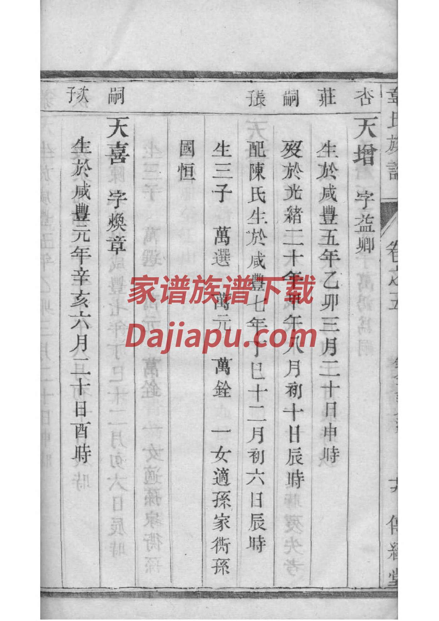 家谱图绘制小学五年级