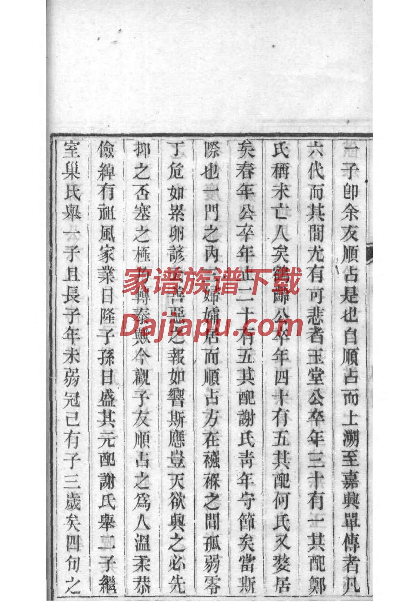 激姓辈分排行世系表