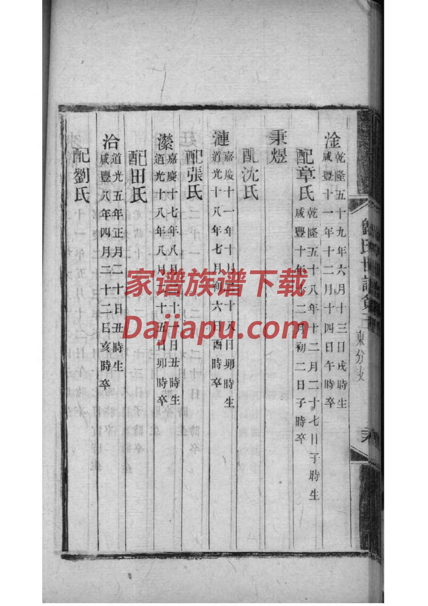 焉姓族谱字辈查询全部