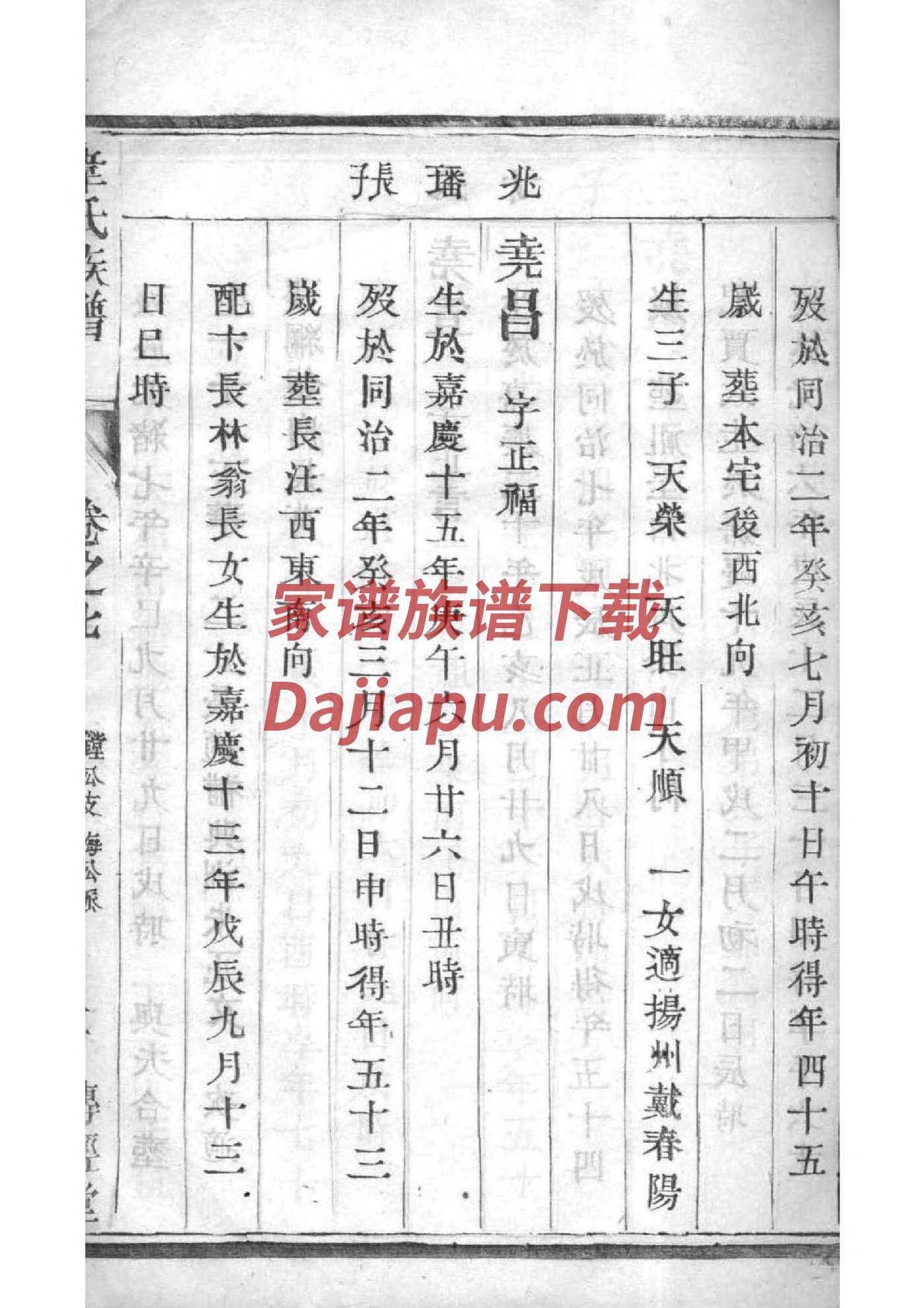 张家家谱