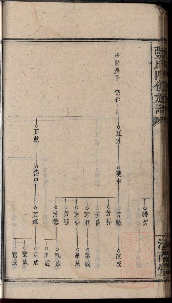 王氏家谱永树光