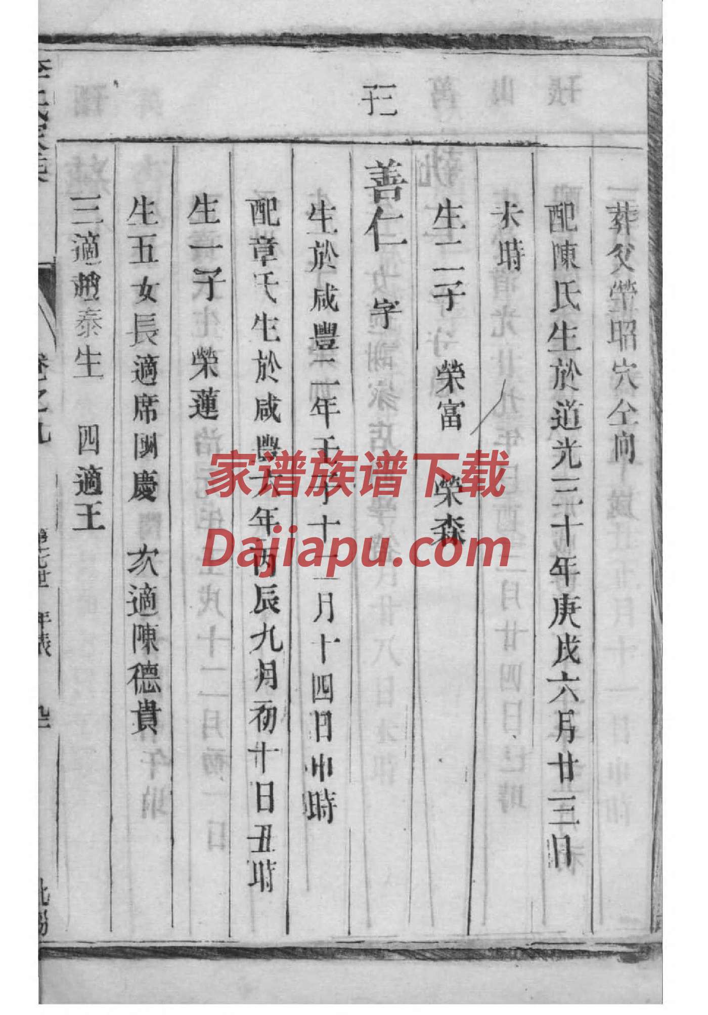 张姓家谱查询网