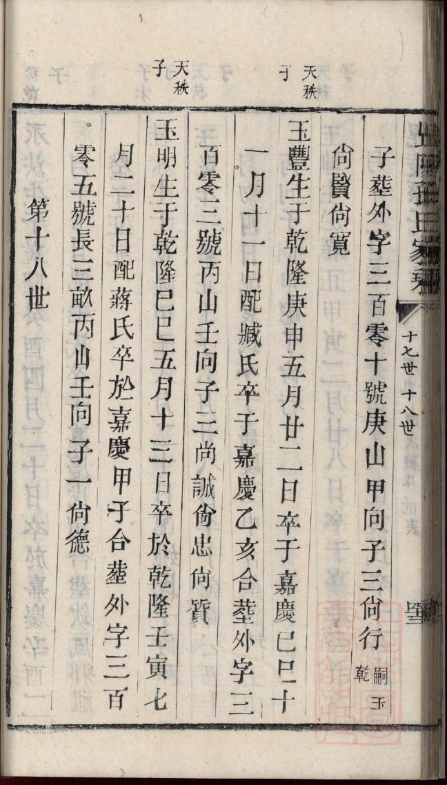 族谱生成
