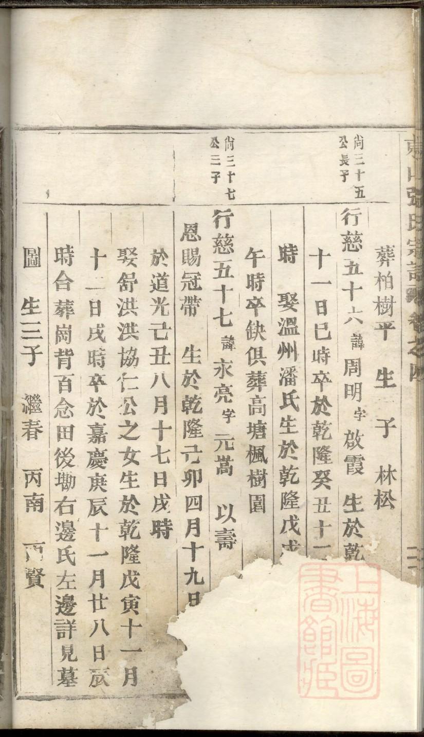 家谱内容