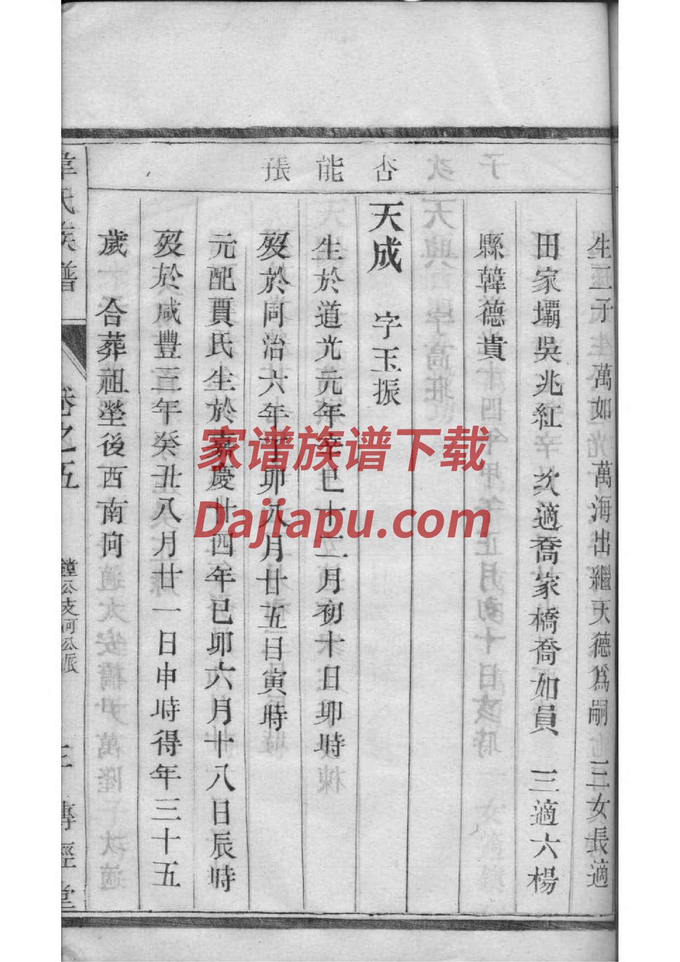 是姓免费查自己家谱