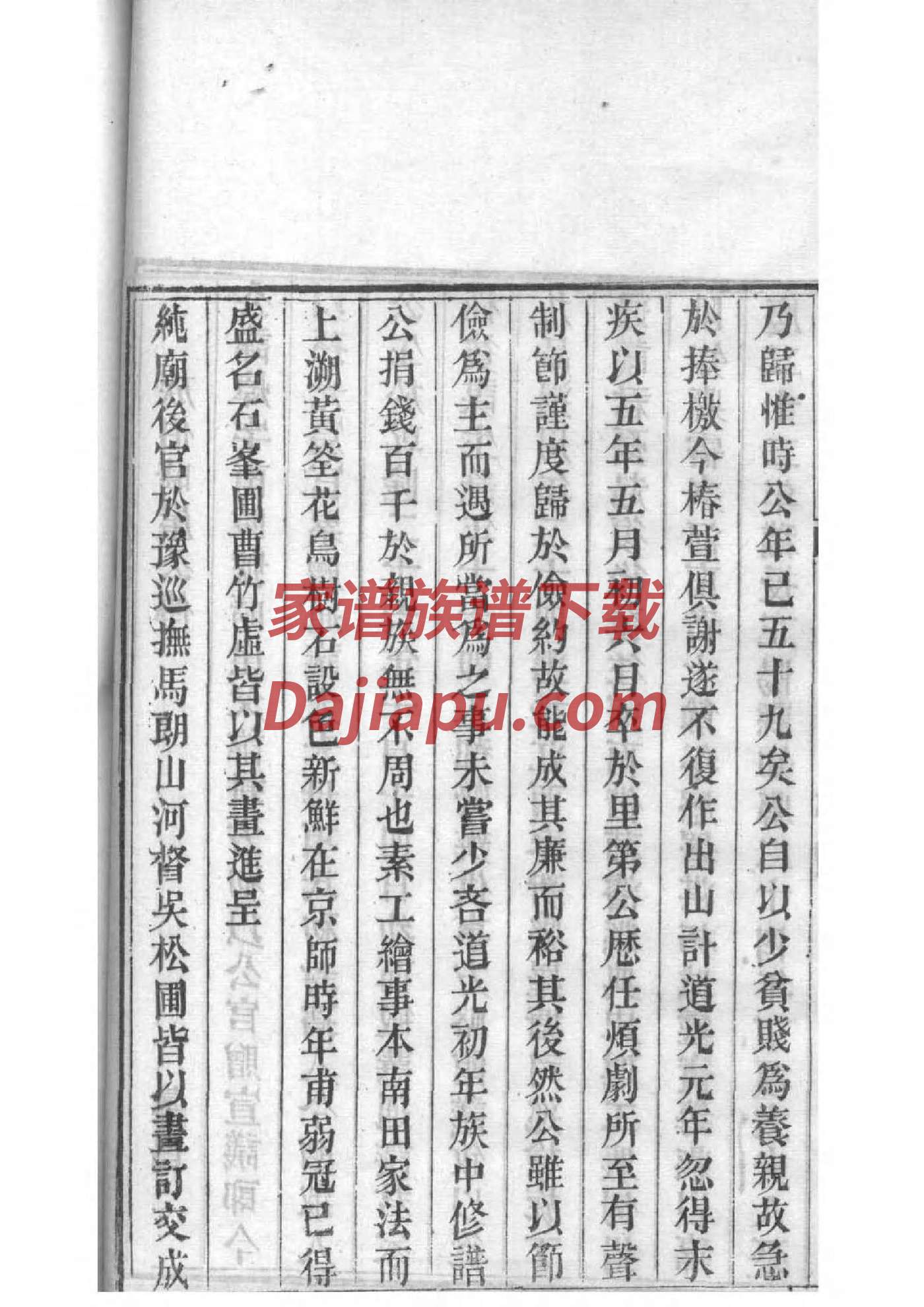 杨氏家谱排序