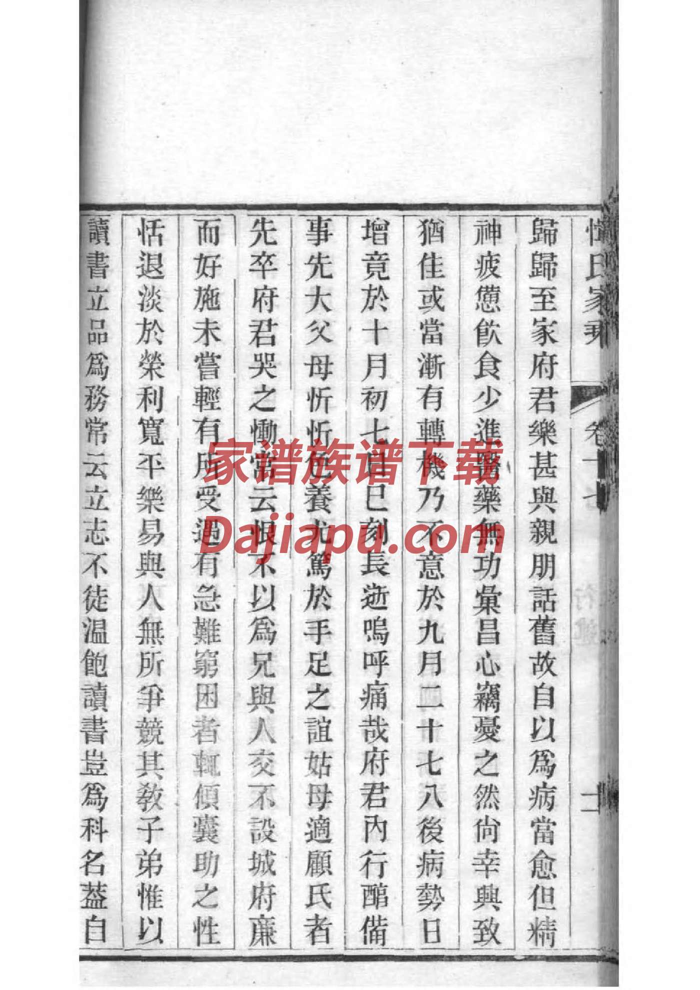WORD家谱格