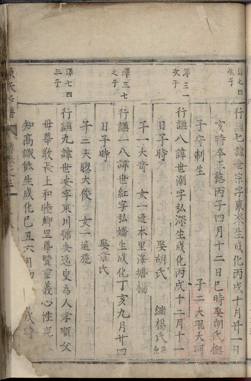 杨氏电子家谱族谱制作
