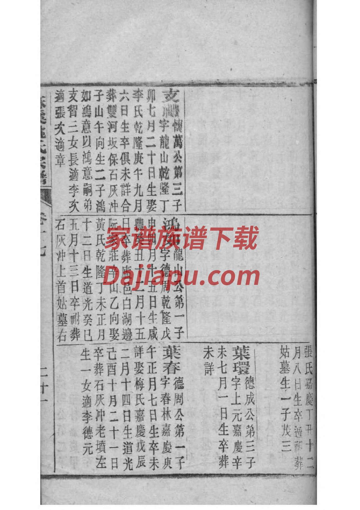 我要看胡家家谱全部