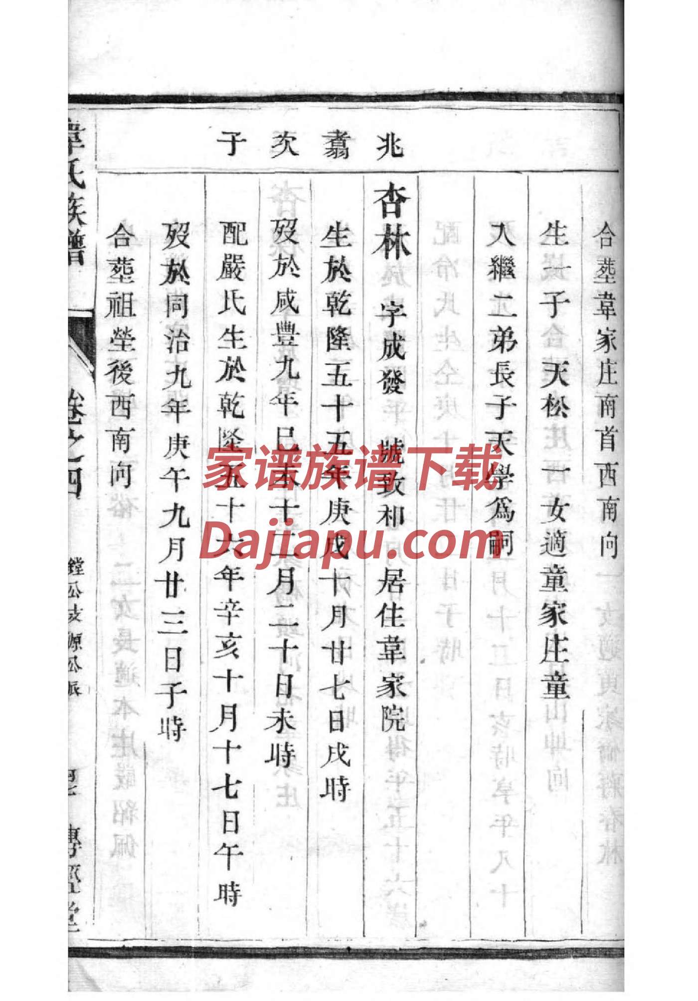 曹氏家谱网