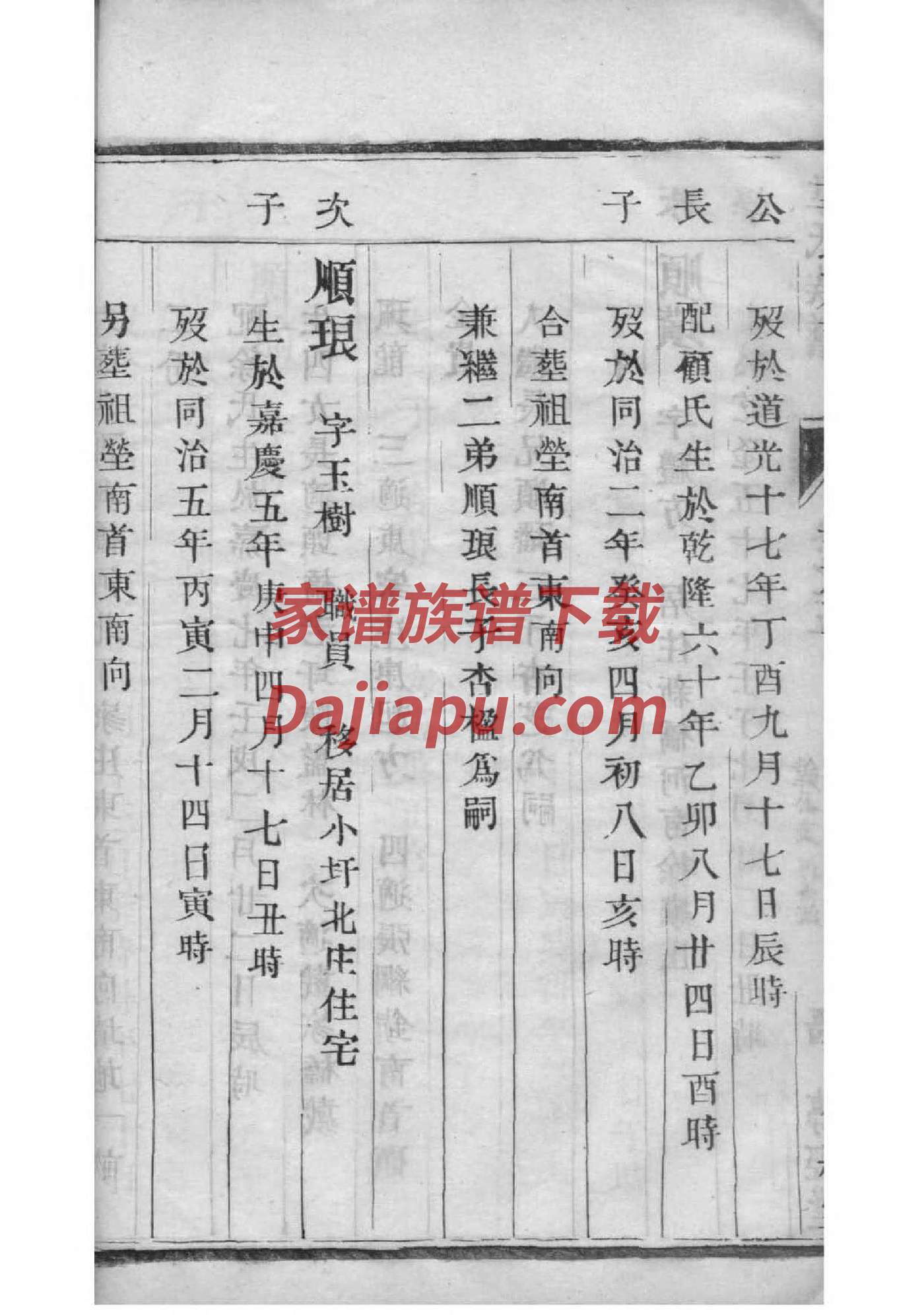 家族族谱查询