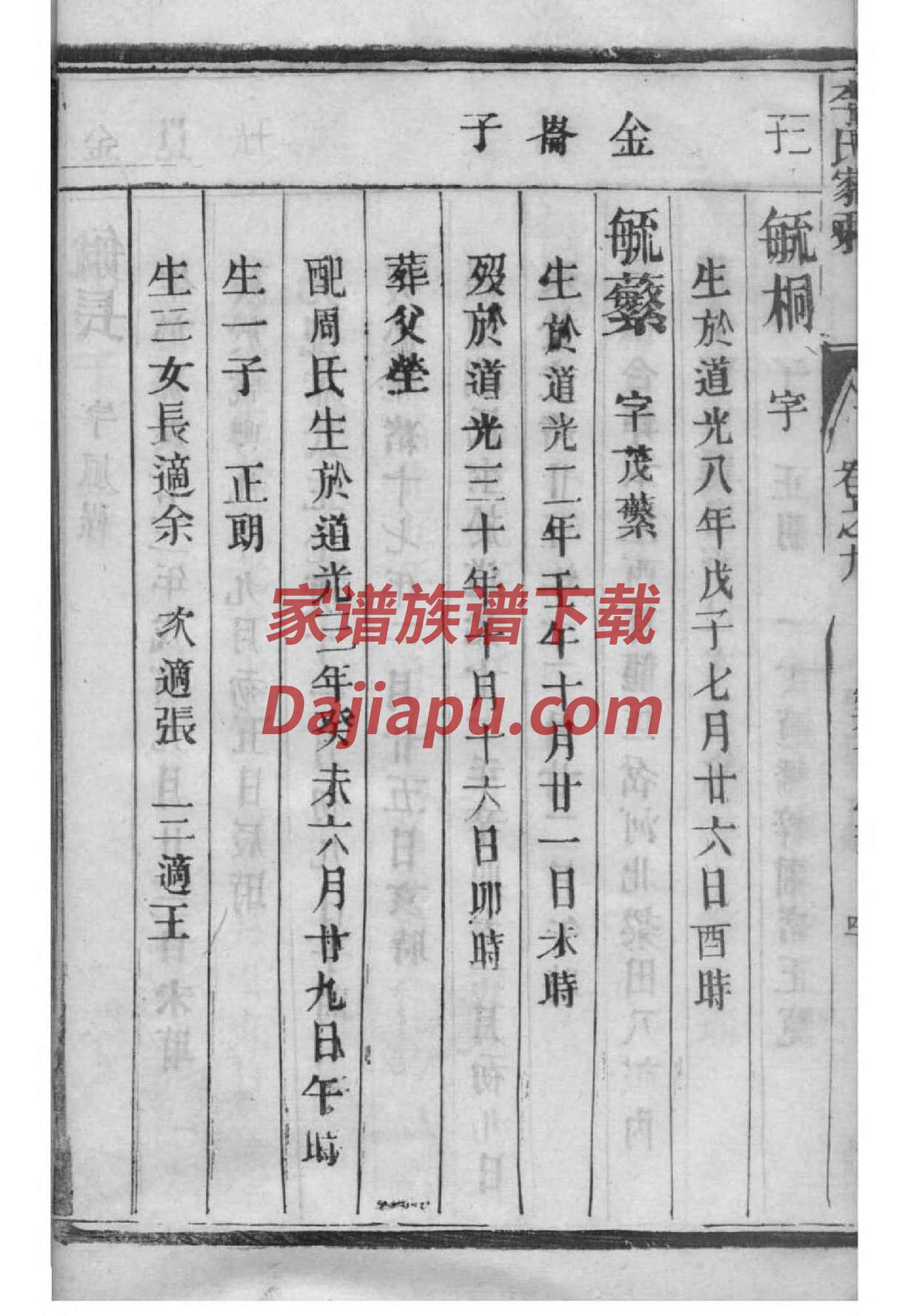 葛的家谱
