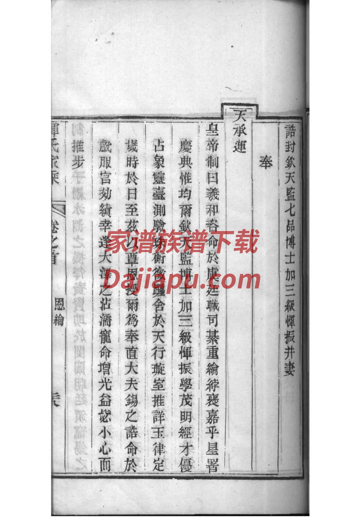 森氏族谱家谱