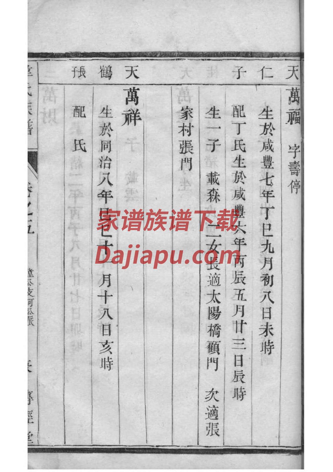 山东杨家家谱
