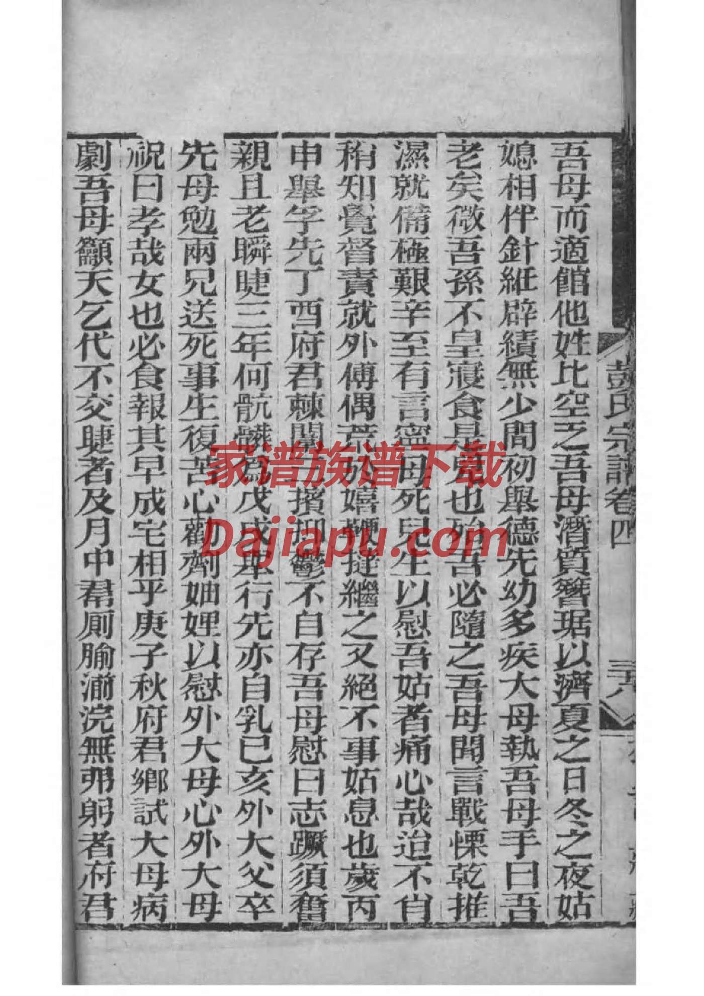 冒姓族谱字辈排行