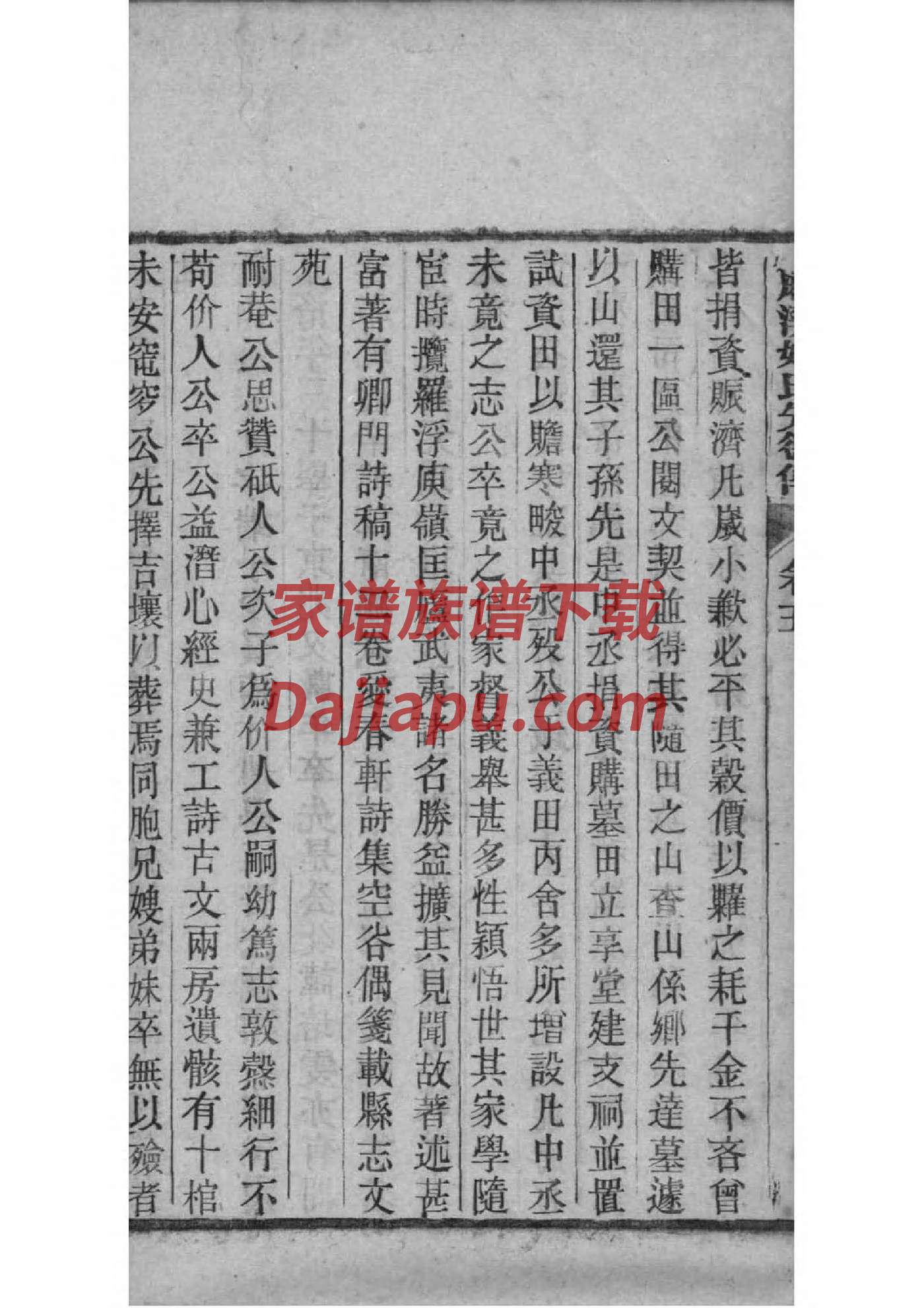 念氏家谱族谱数据库