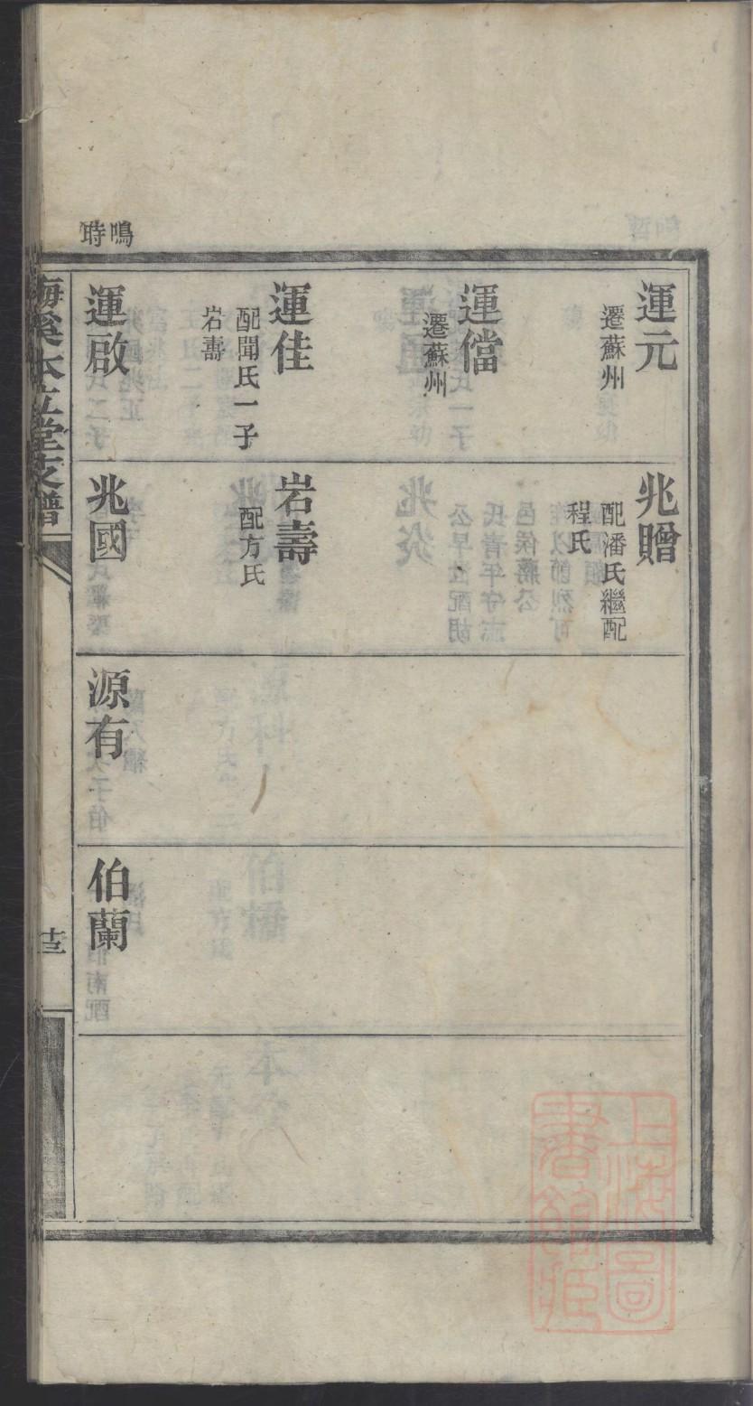 儿童家谱树图片